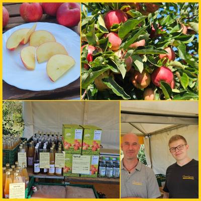 Äpfel und Birnen selbst pflücken