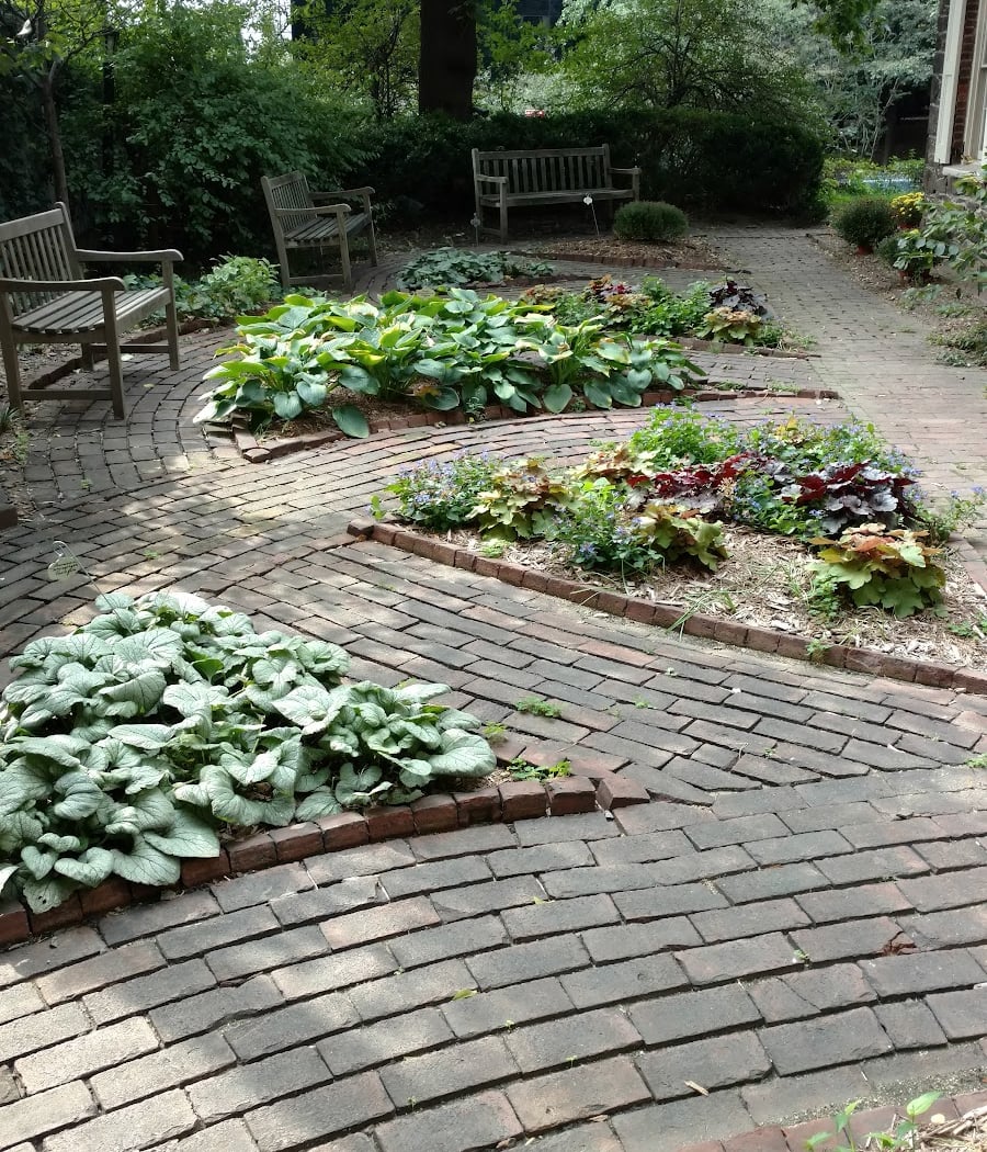 Wining & Dining: Culinary History Tour & Tea Tasting 4