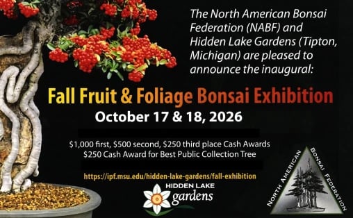 Fall Fruit and Foliage Bonsai Exhibition