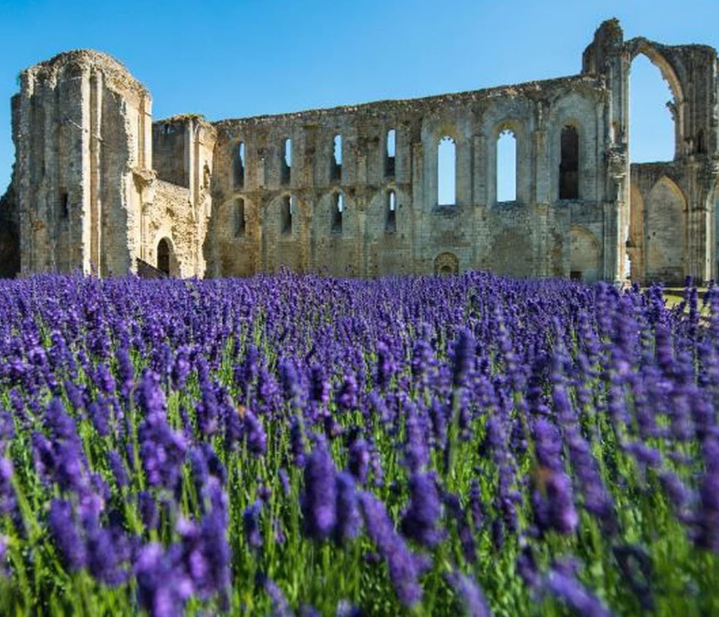 Abbey Maillezais 1
