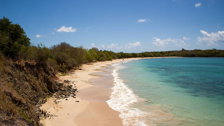 Presqu'Île Caravelle 2