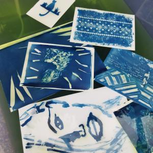 Atelier d'initiation au cyanotype 4