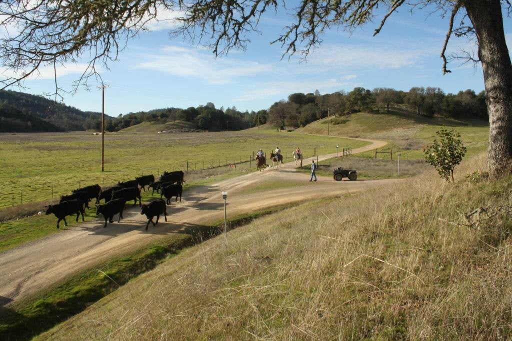 Six Sigma Ranch Monthly Guided Hike 5