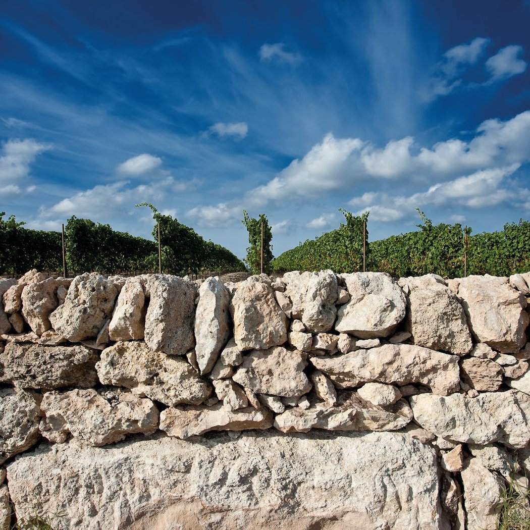 Masseria Capoforte 3