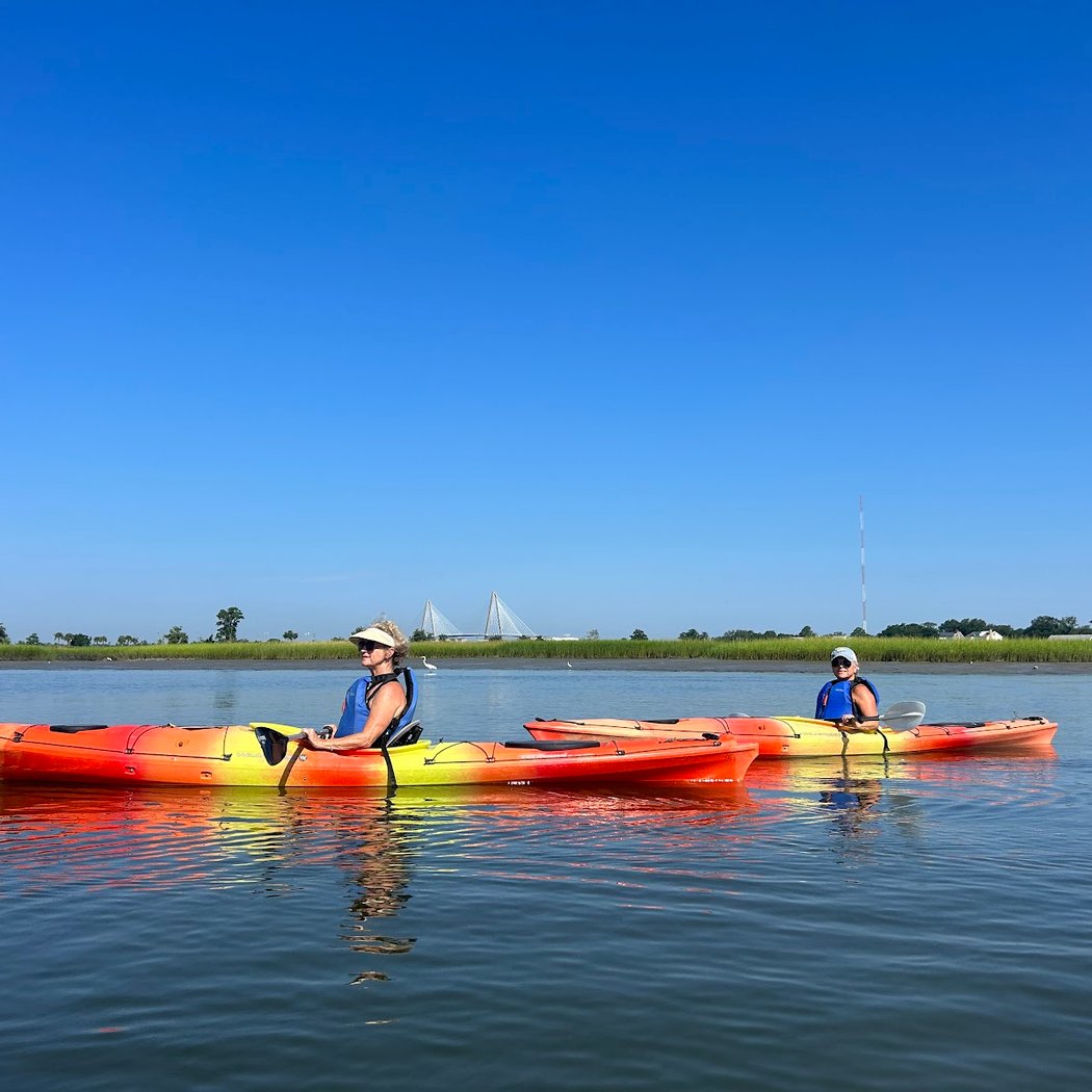 Nature Adventures on Shem Creek 3