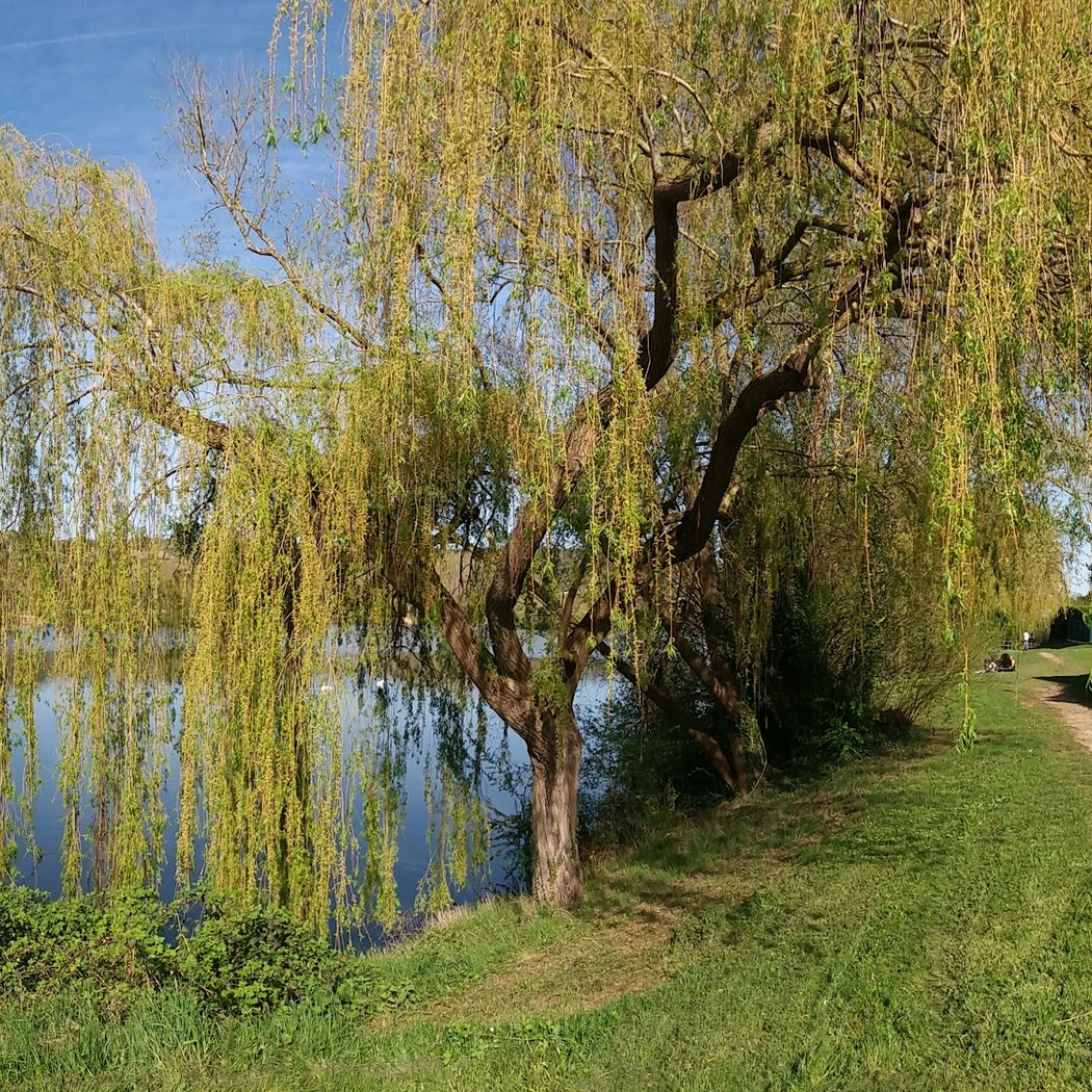 Lac des Pêcheurs 3