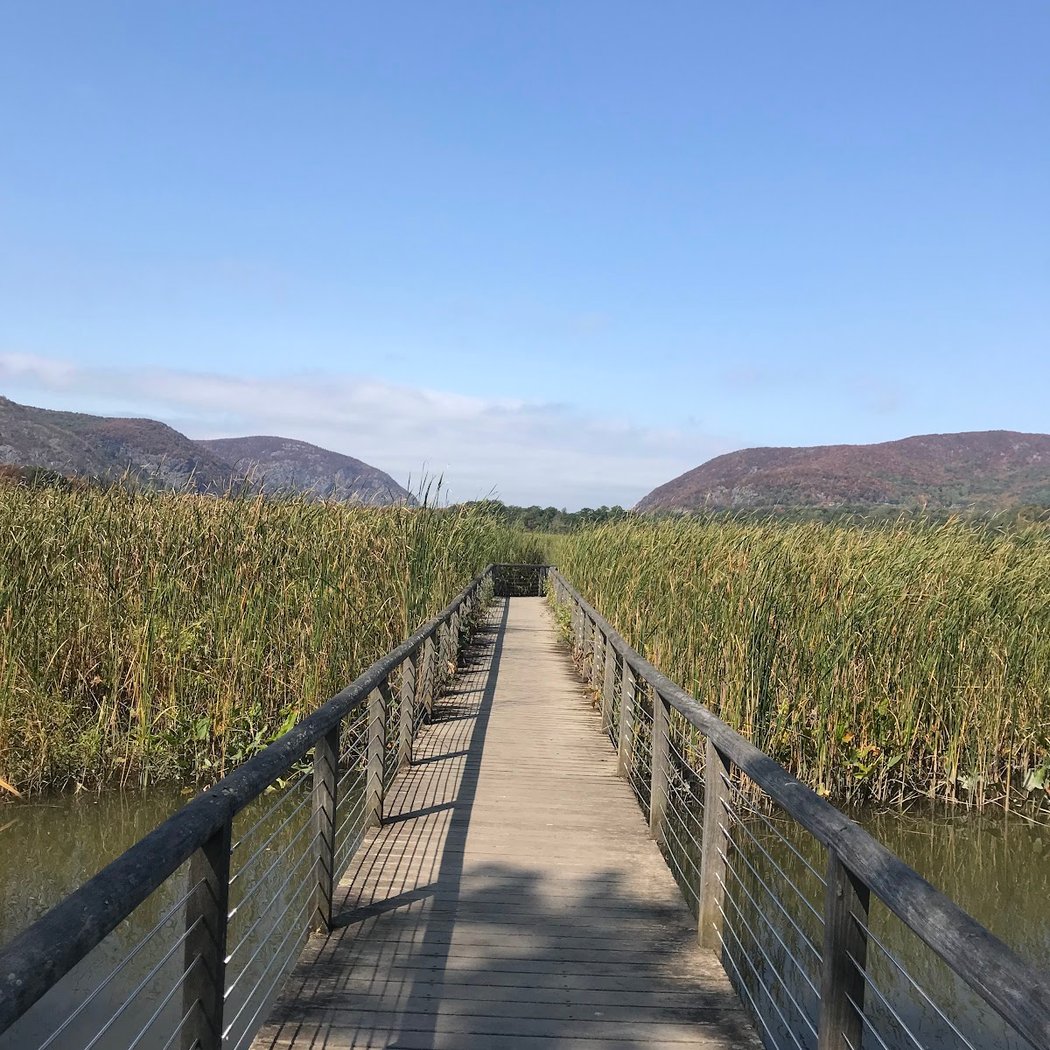 Constitution Marsh Audubon Center and Sanctuary 3