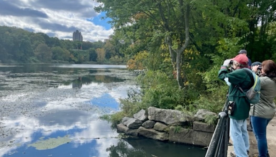 Birding with NYC Bird Alliance 4