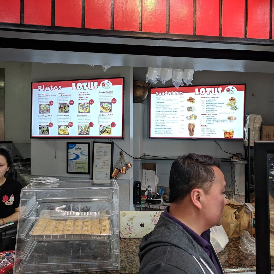 Lotus Falafel and Shawerma-OAKLAND 3