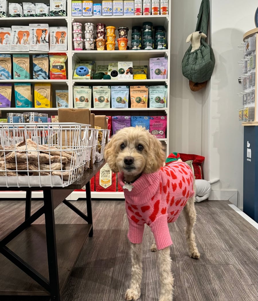 Brownie's Pet Boutique 3