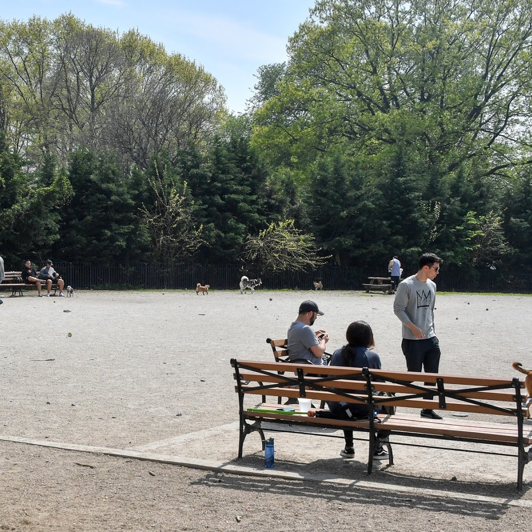 Dyker Beach Dog Run 2