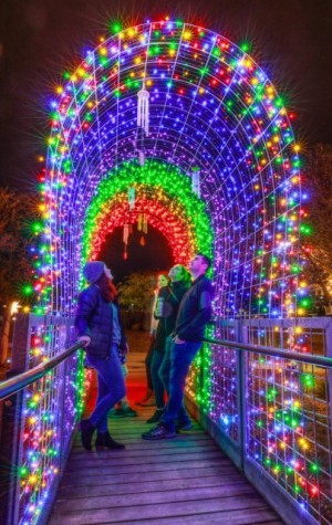 Marin Holiday Light Spectacular 1