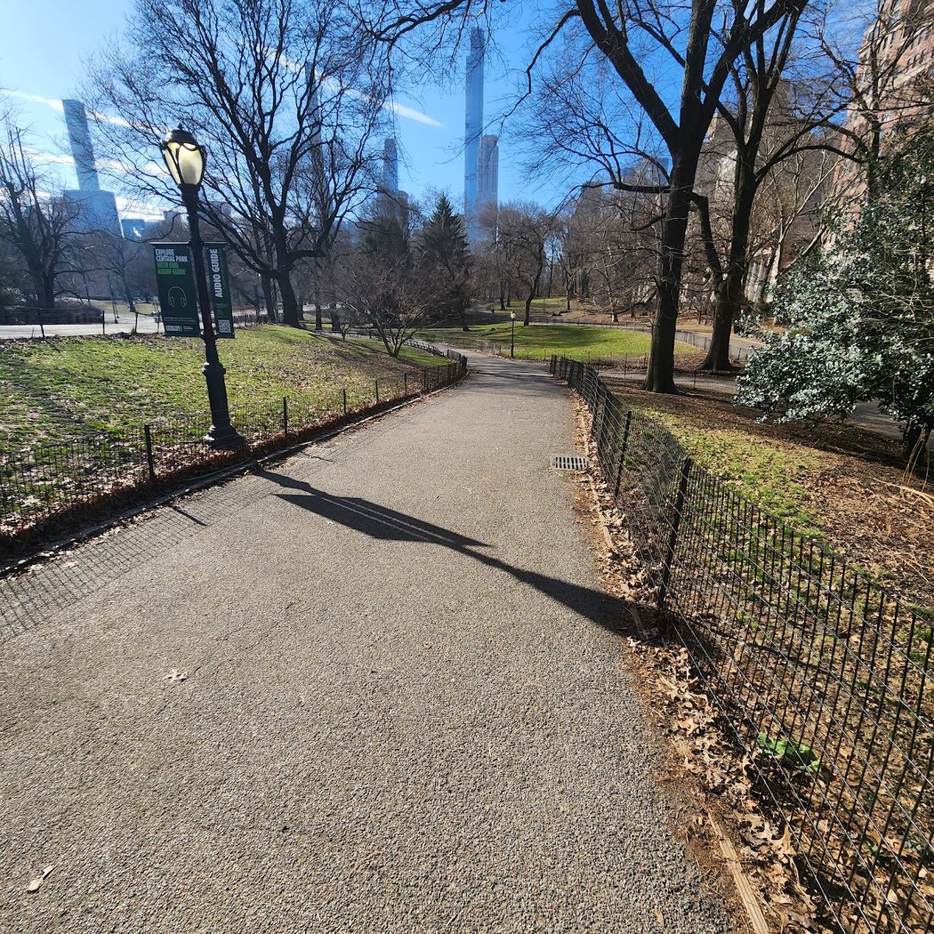 Runners' Grove 2