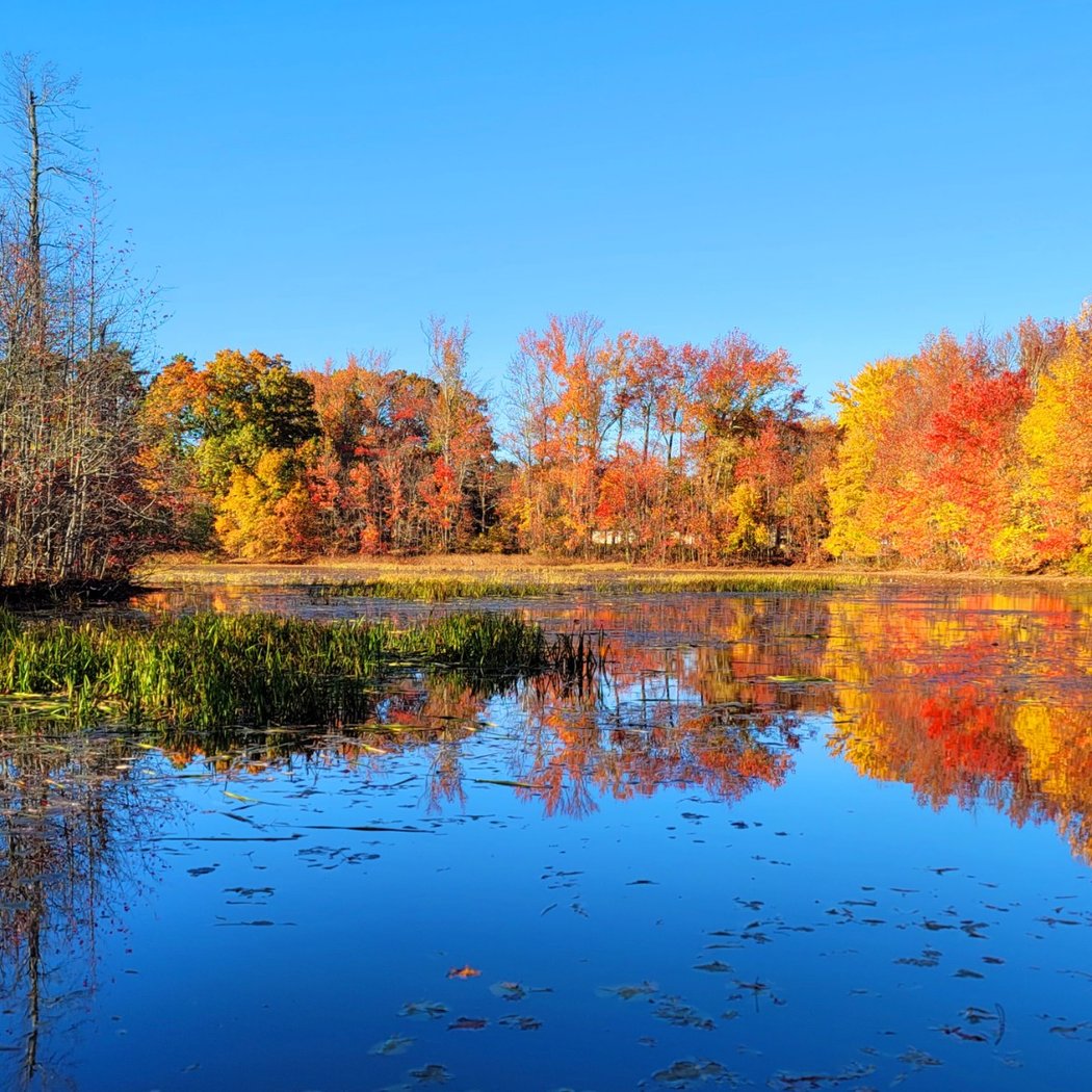 Manasquan Reservoir Environmental Center 1