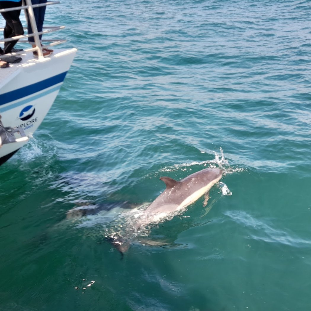 Explore Océan 🐬 - Catamaran Atalaya 3