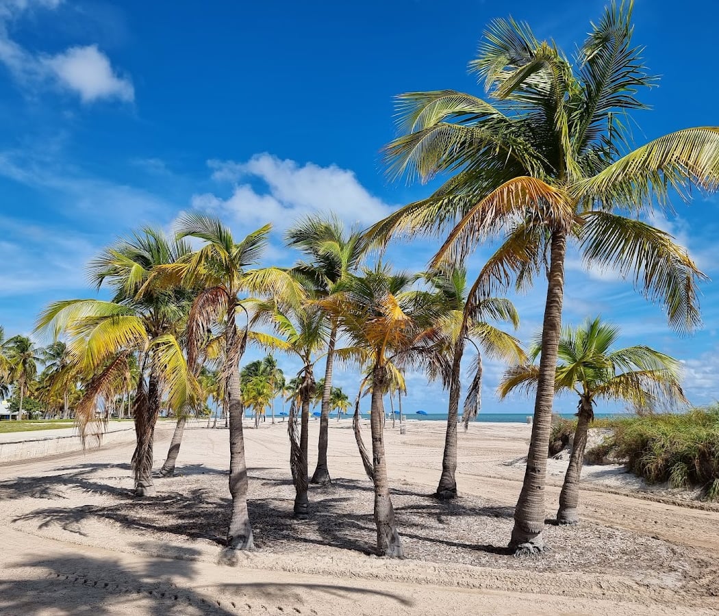 Crandon Park 3