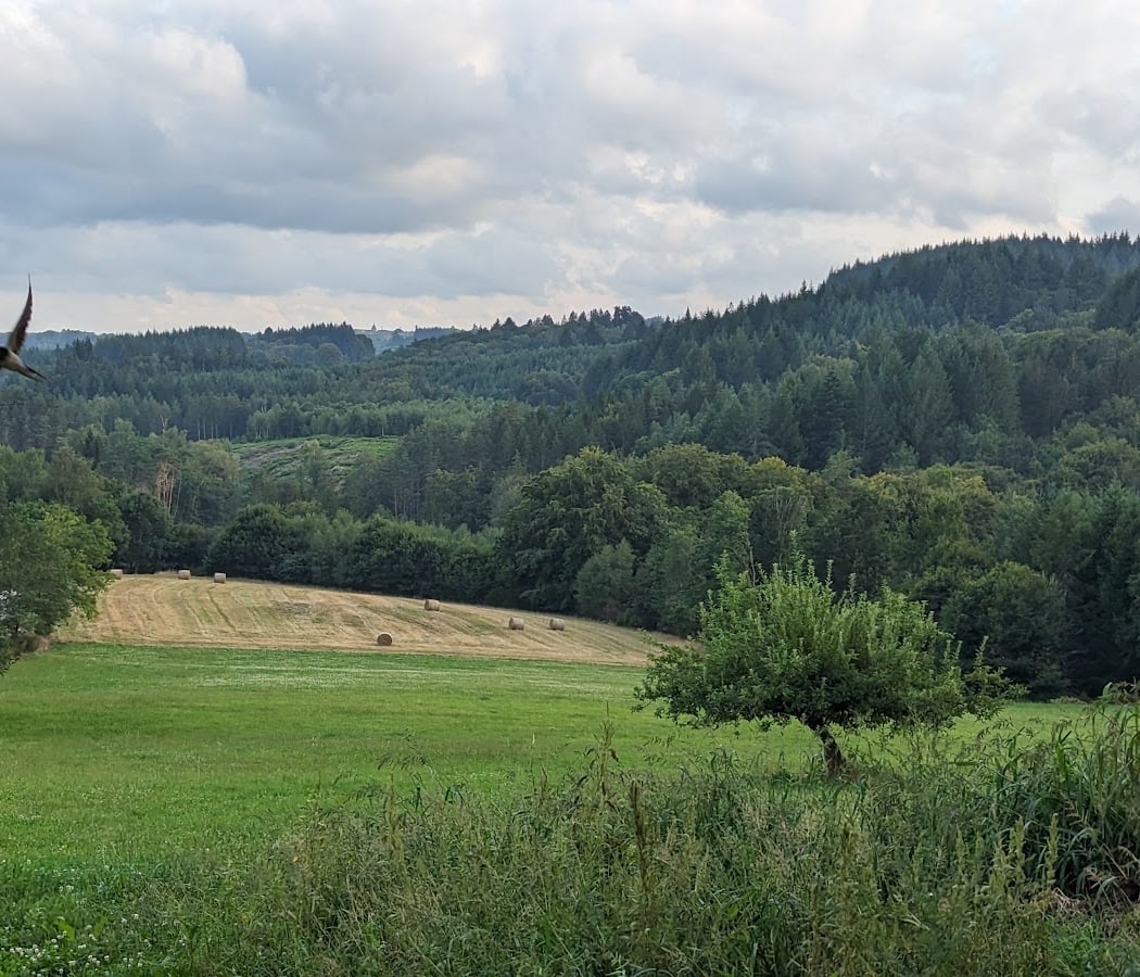 Parc naturel régional de Millevaches en Limousin 3