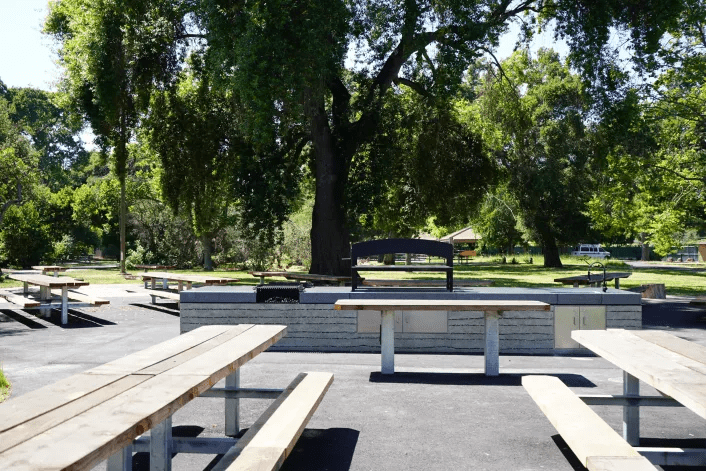 Flood Park 2