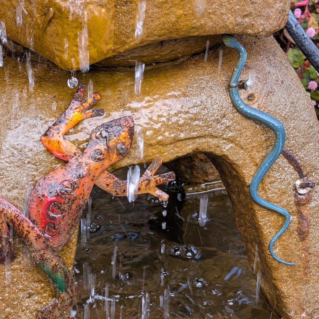 Duck Fountain 3