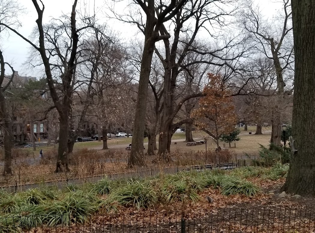 Fort Greene Park Conservancy 3