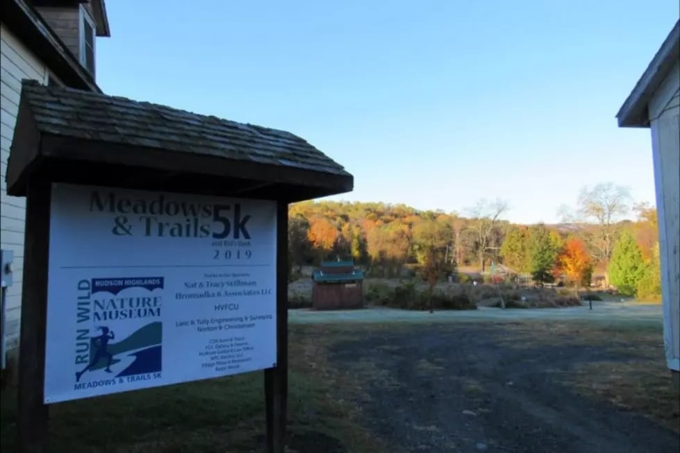 Hudson Highlands Nature Museum 2