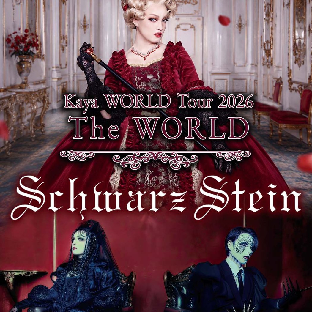 Kaya & Schwarz Stein 1