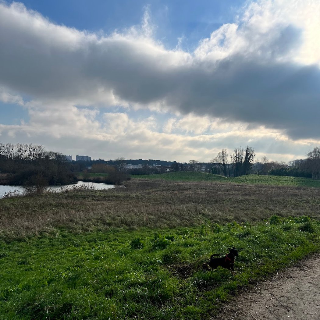 Promenade de l'Yvette 3