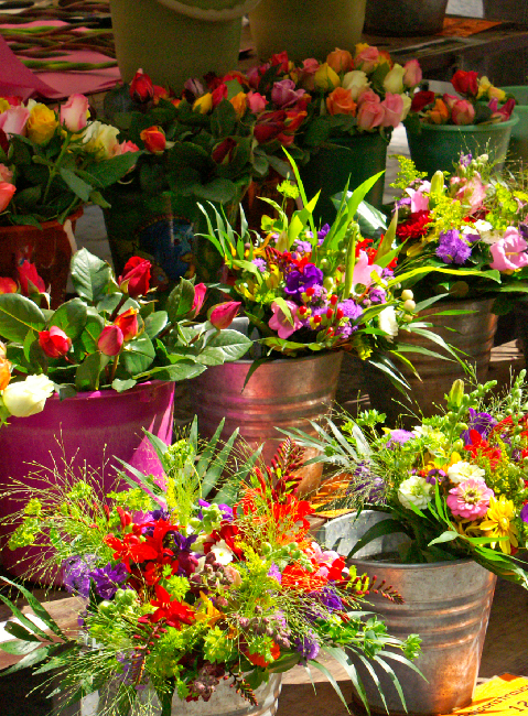 Le Marché du Printemps 3