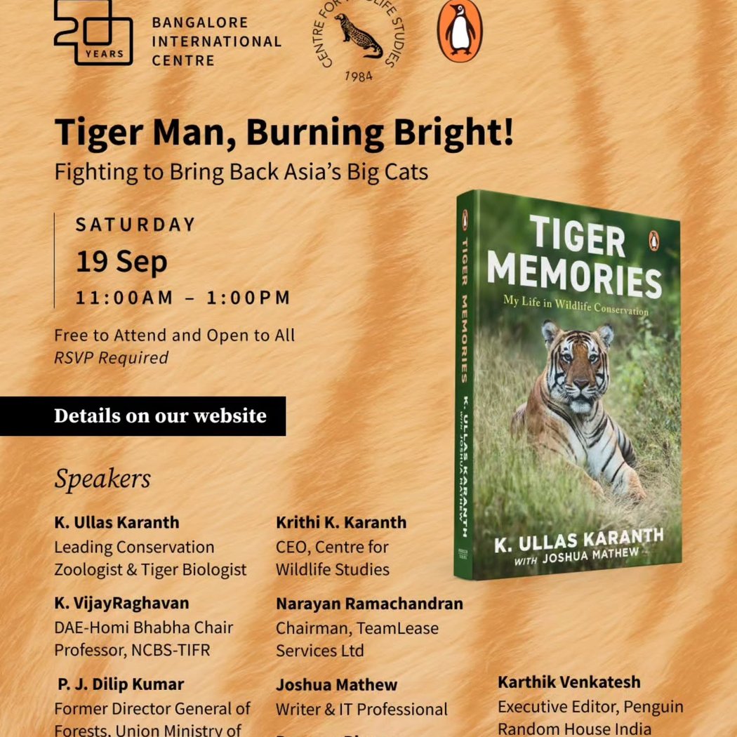 Tiger Man, Burning Bright! 1