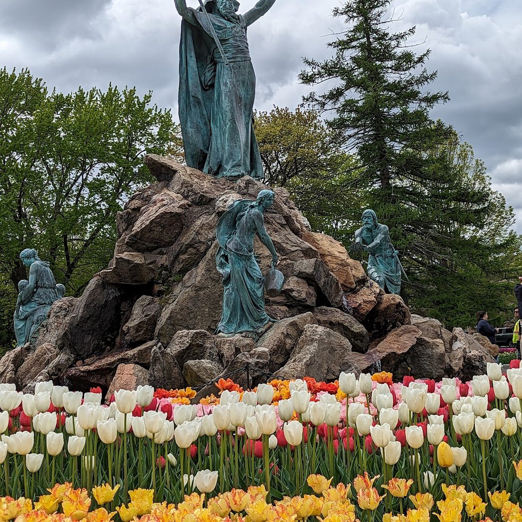 Albany Tulip Festival 2