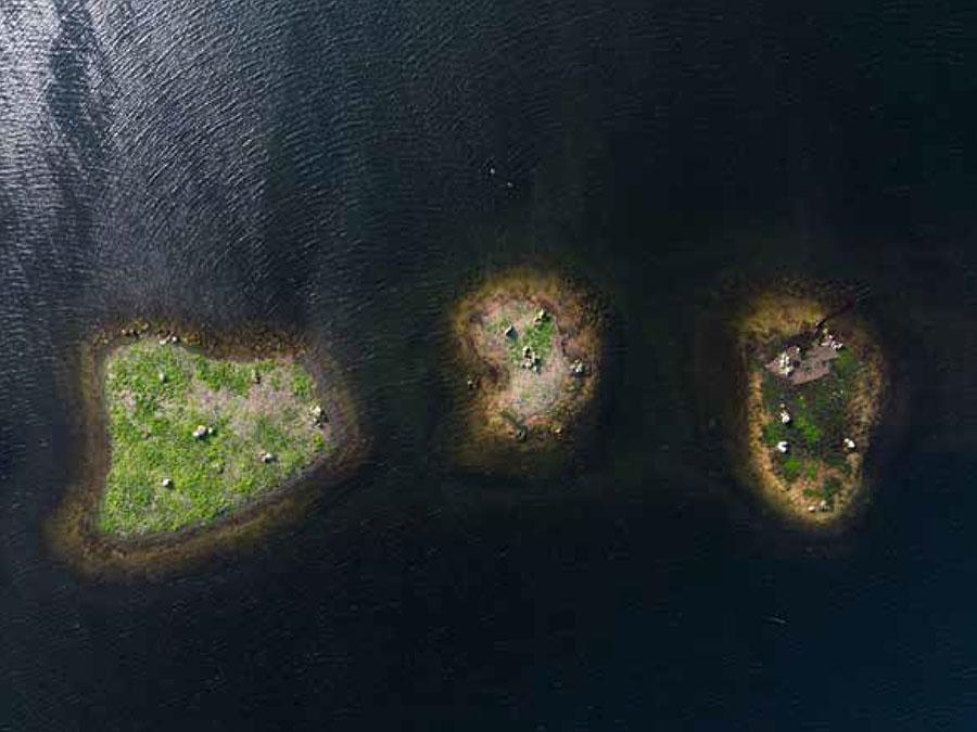 Découverte de la Biodiversité du Territoire Conférence 1