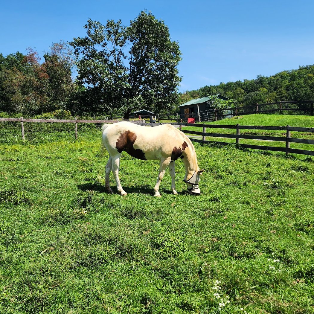 Catskill Animal Sanctuary 2