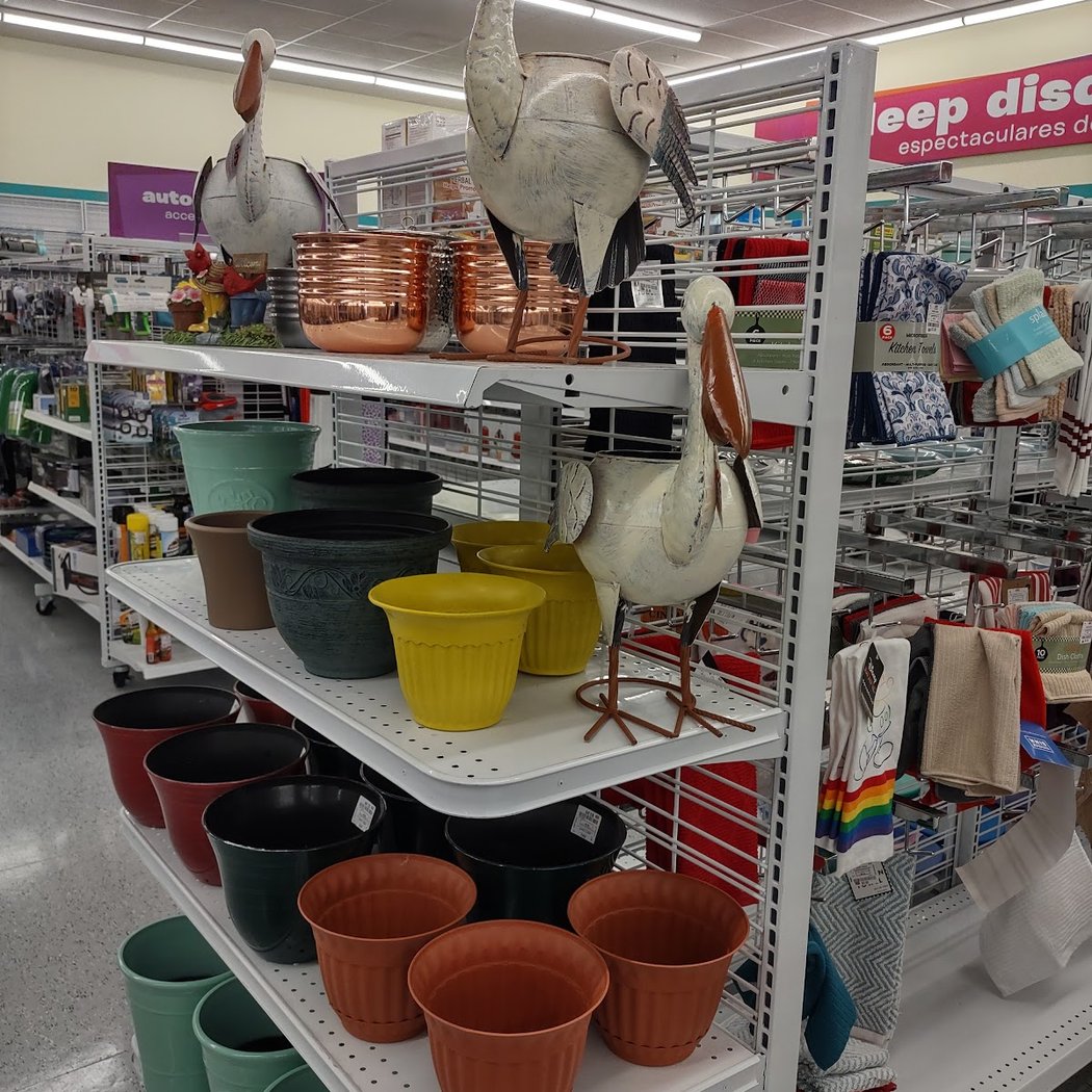 dd's DISCOUNTS 3