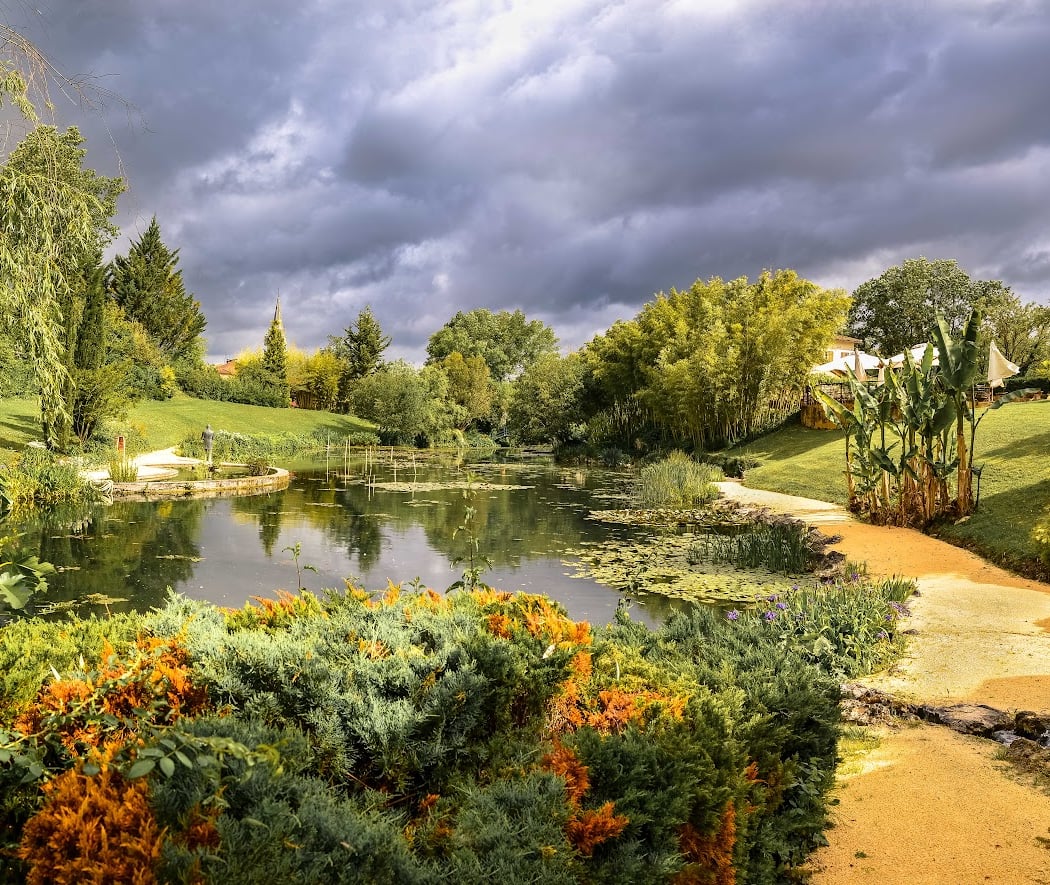 The Garden Of Lilies 1