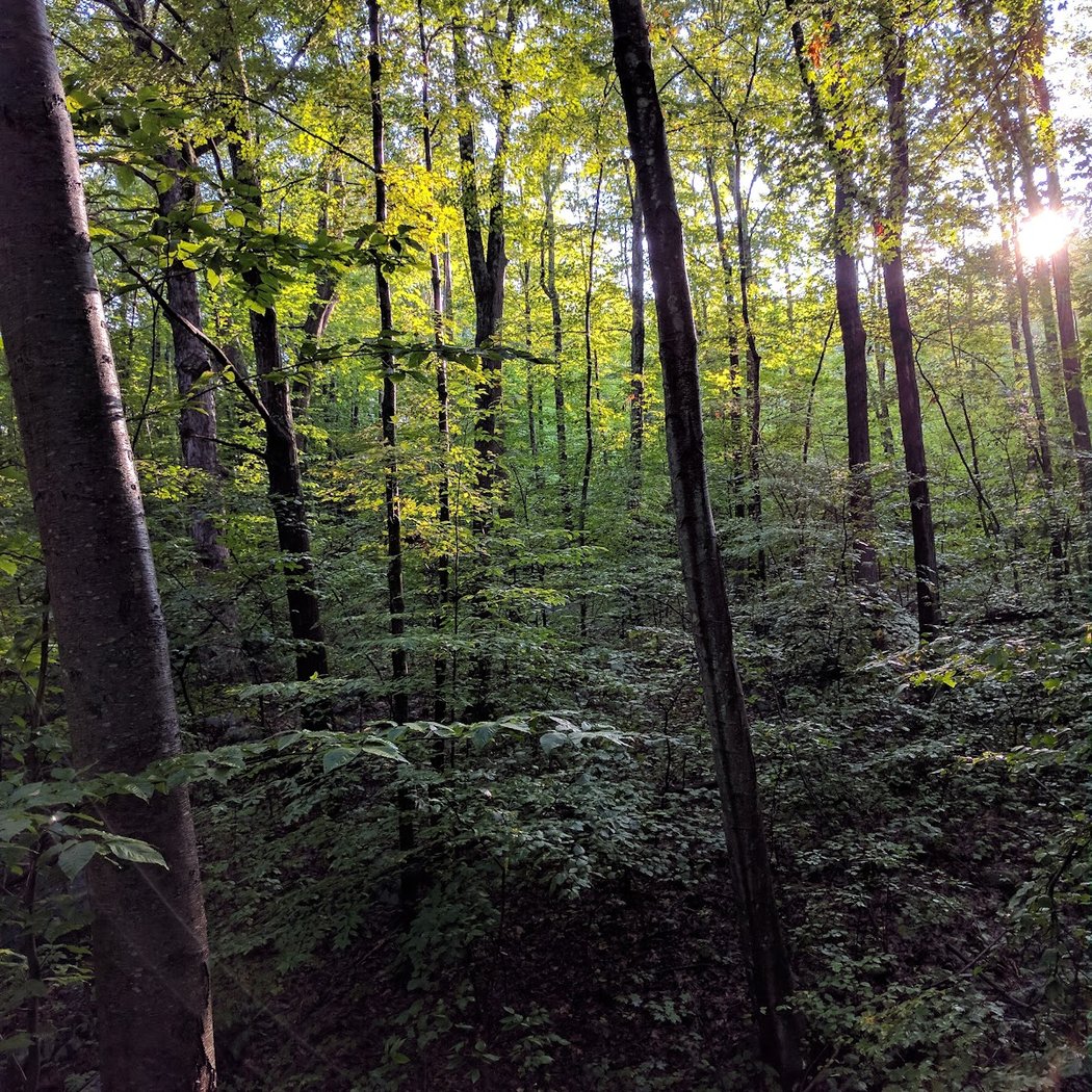 Putnam Trailway 2