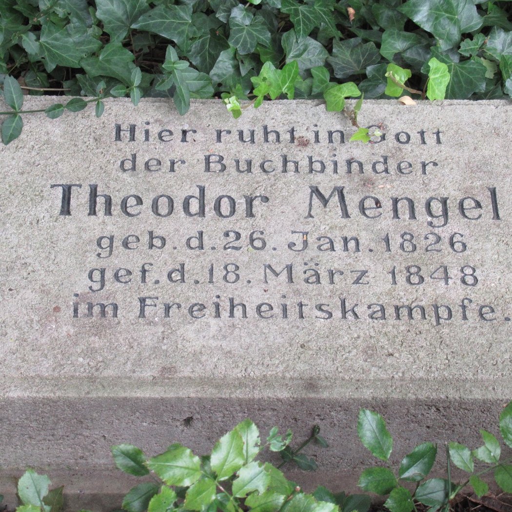 Die alte Eiche erzählt 2