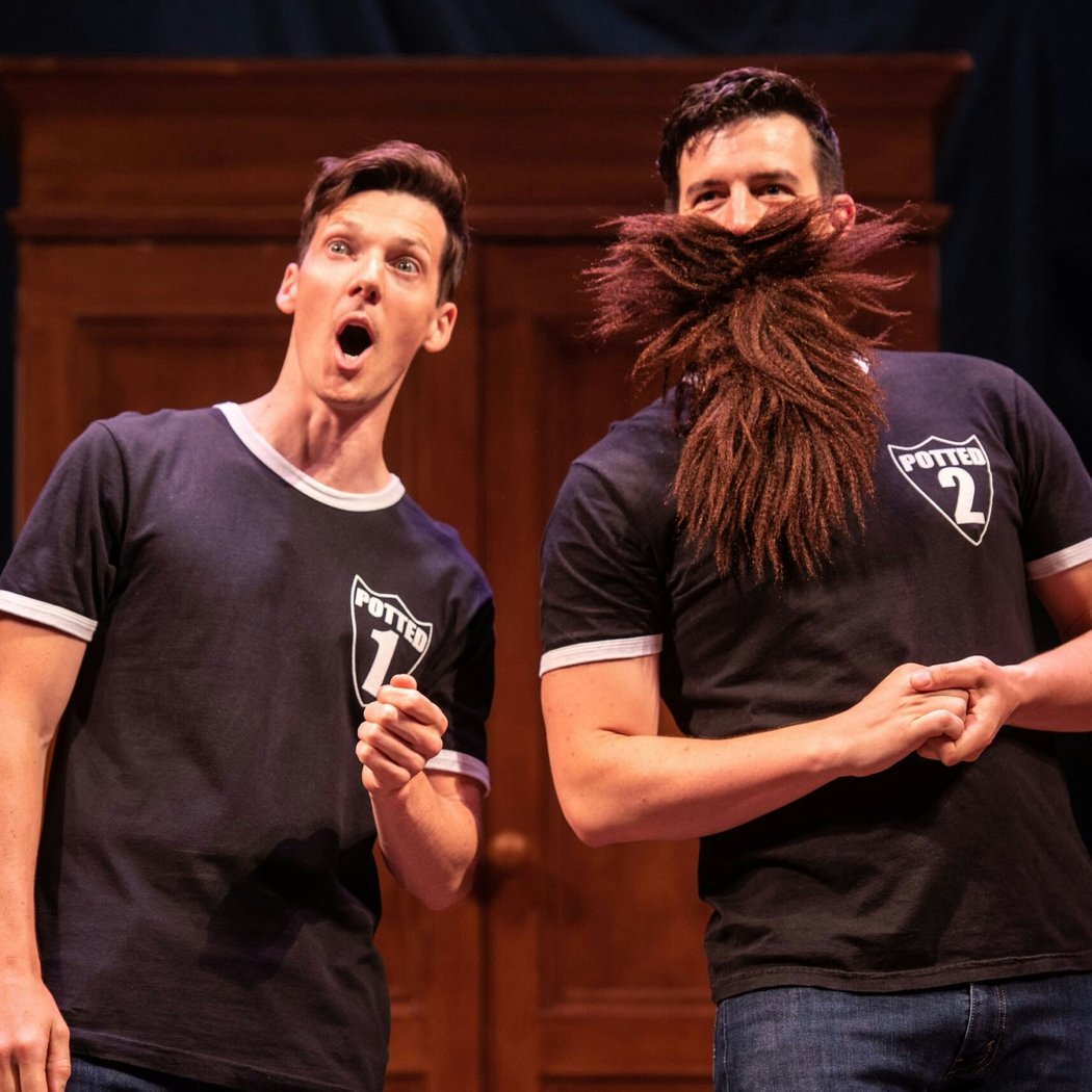 Potted Potter - The Unauthorized Harry Experience 2