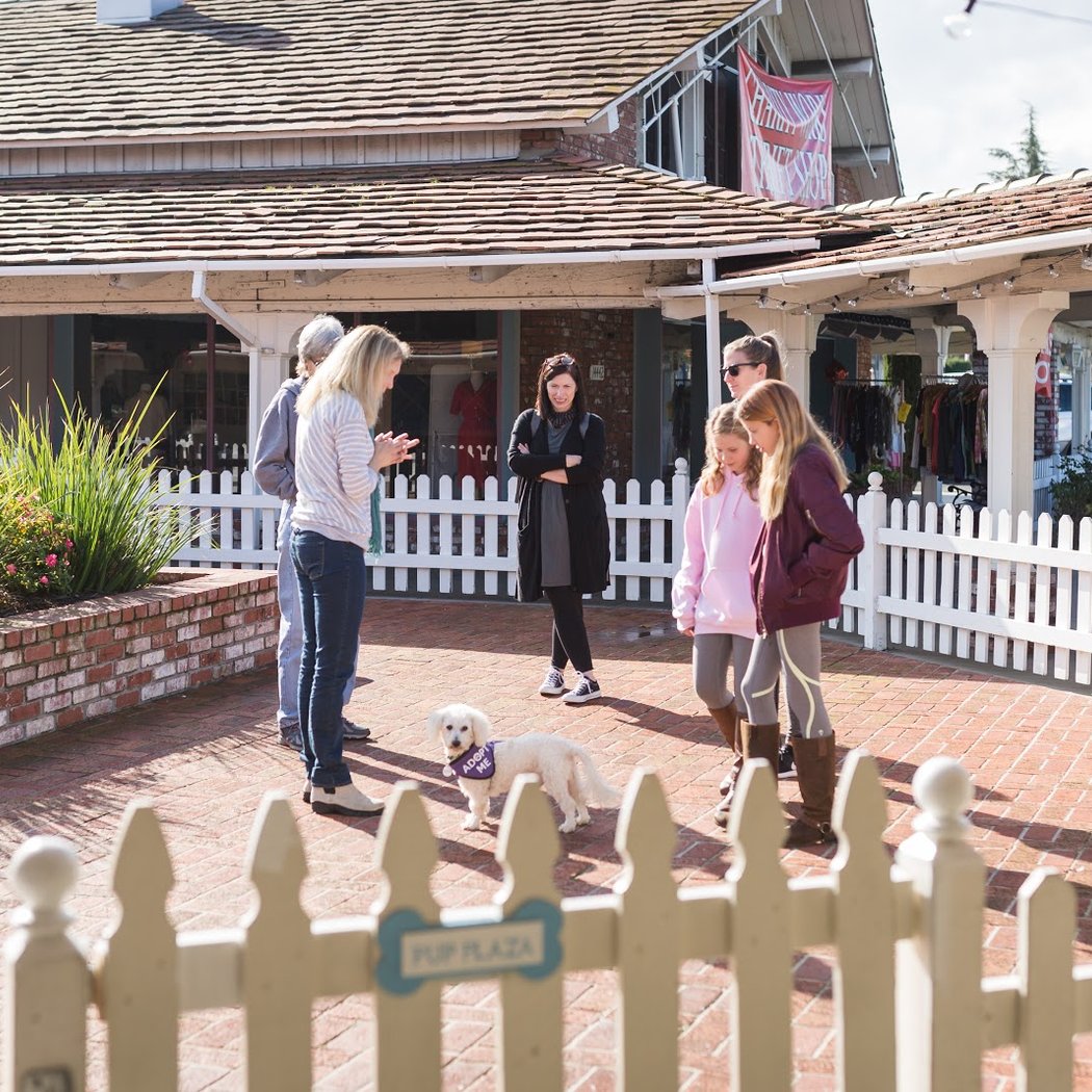 Pup Plaza, operated by Silicon Valley Pet Project 3