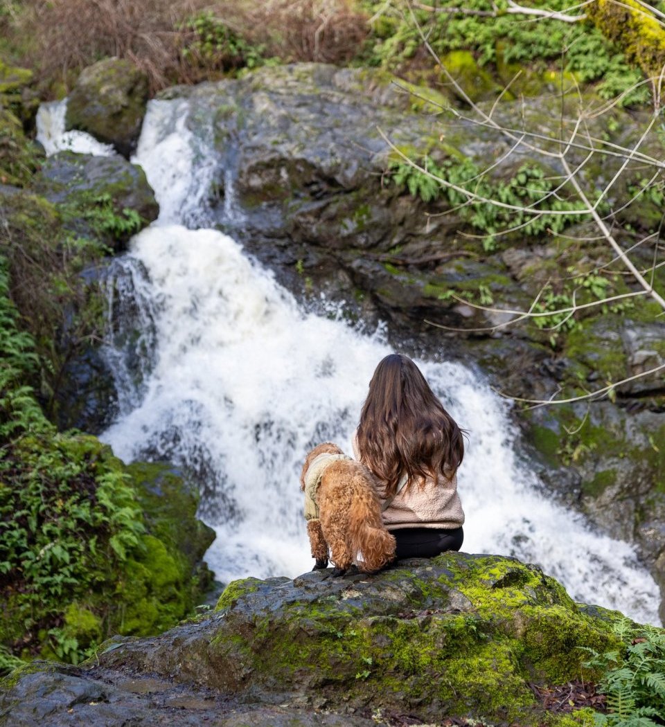 Cascade Falls Trailhead 1