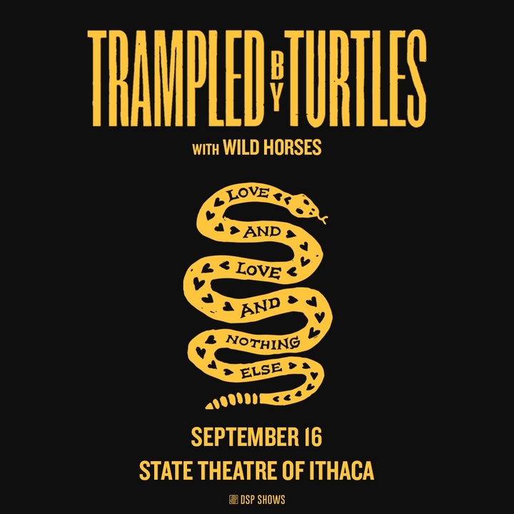 Trampled by Turtles 1