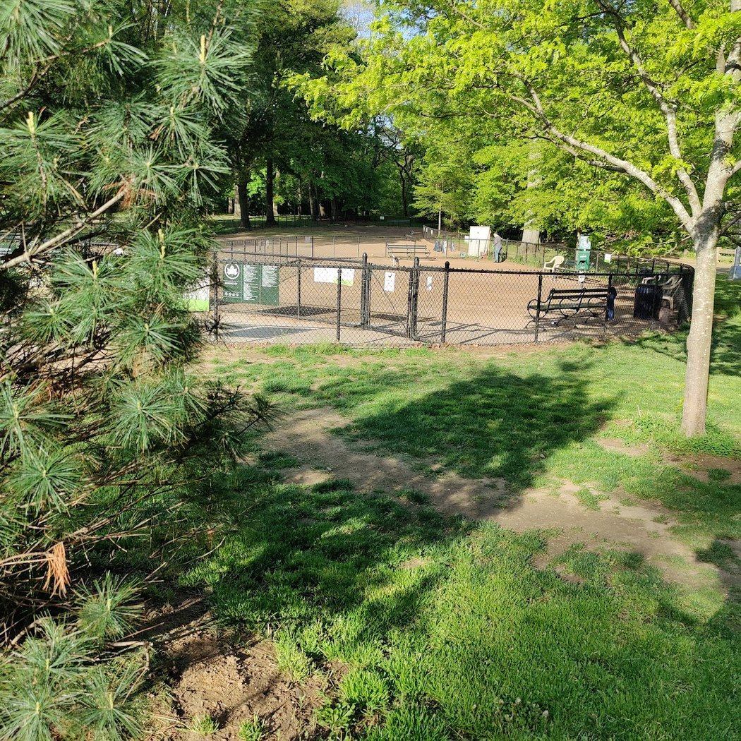 Forest Park Barking Lot 3