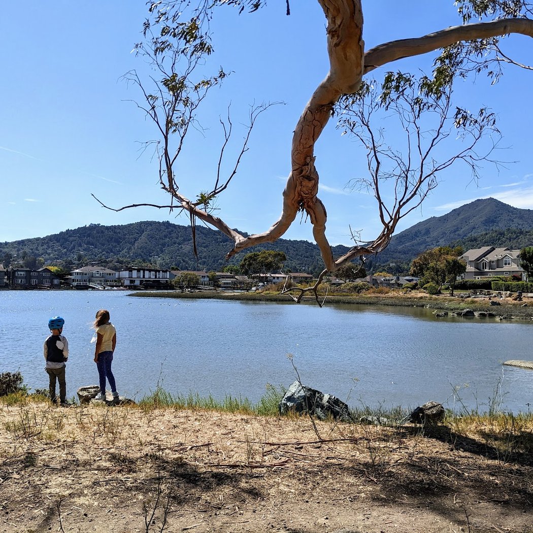 Greenbrae 1