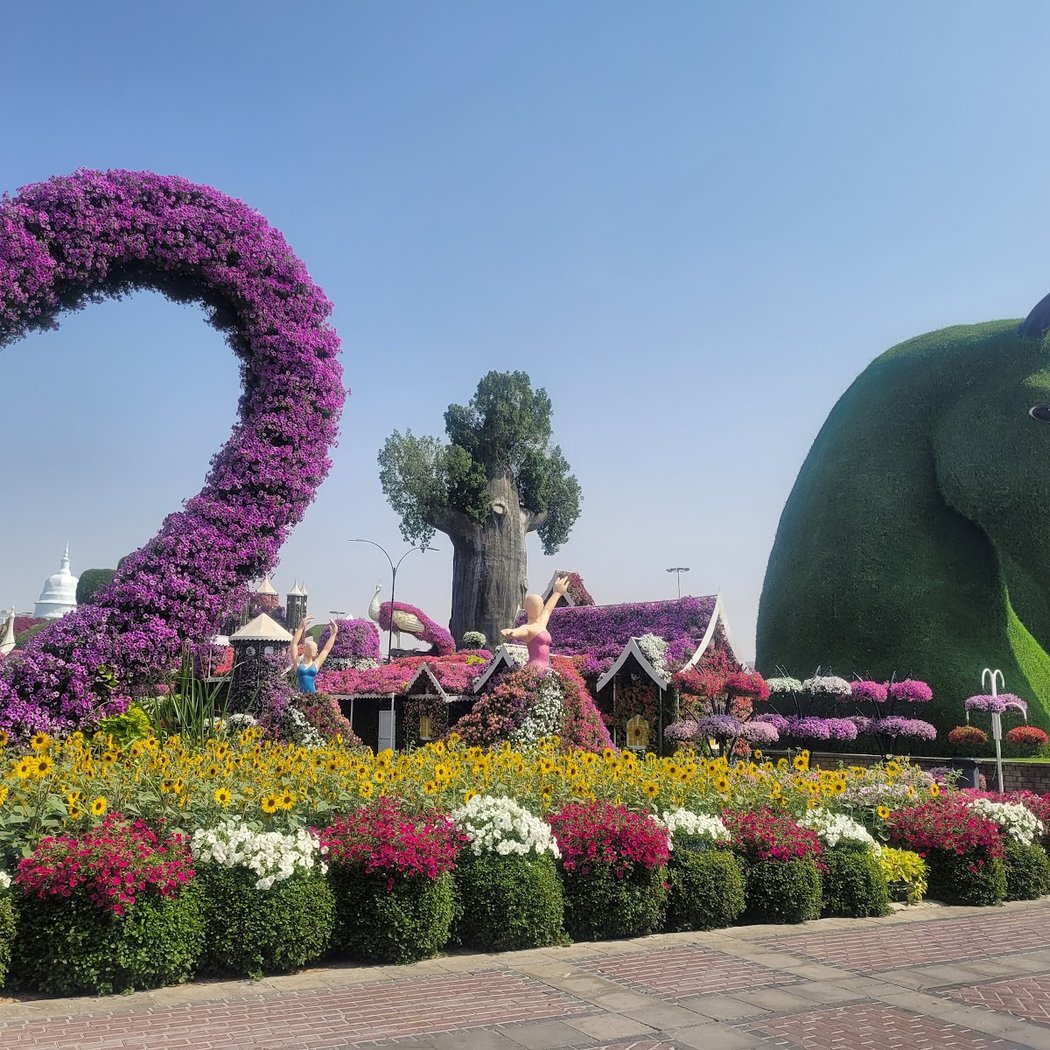 Dubai Miracle Garden 3