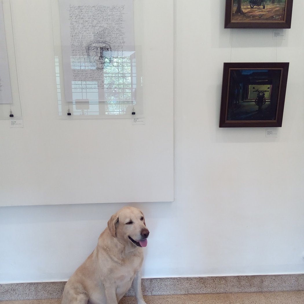 Peepletree Art Gallery 3