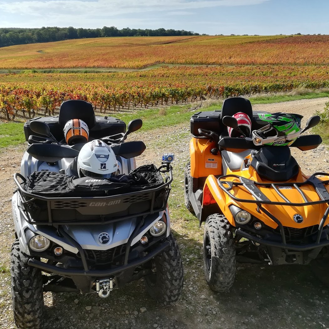 QUAD VINEYARDS AND CASTLES 3