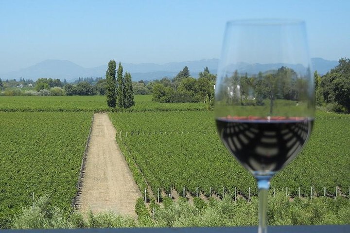 Sonoma and Napa Wine Tour 3 Tastings Included Small-Group Tour 1
