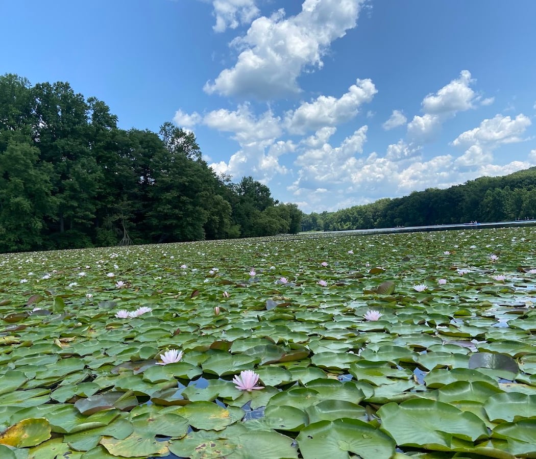 French Creek State Park 2