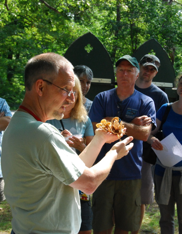 Mushroom Hunt 1