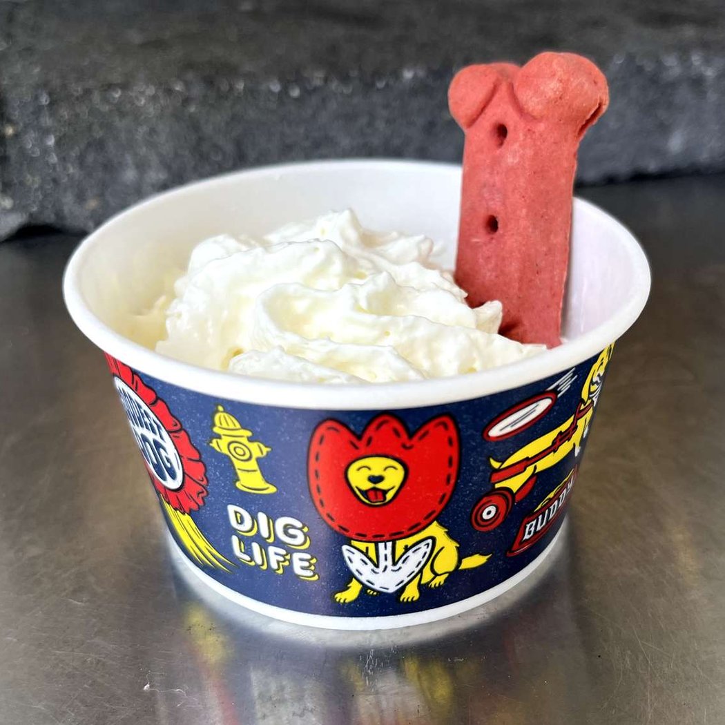 Christmas in July Pup Cup Social 3