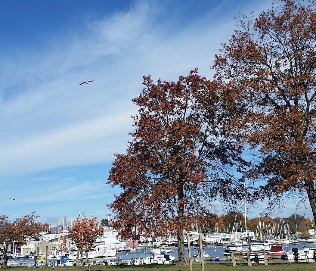 Harbor Island Park 4